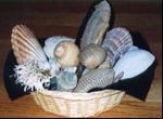 shell basket